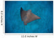 Spotted Eagle Ray Swims Wall Decal Design 1