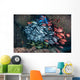 Schooling Fish Swim Cavern Wall Decal