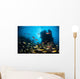 Schooling Fish Swim over Wall Decal