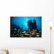 Schooling Fish Swim over Wall Decal