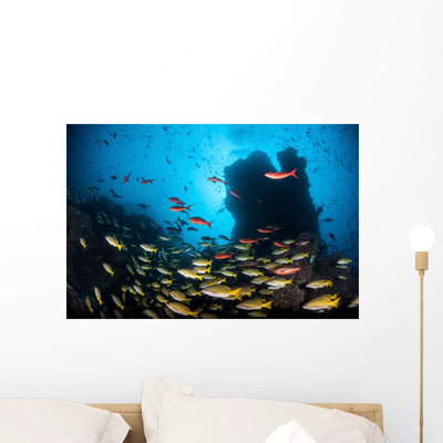 Schooling Fish Swim over Wall Decal shown on a wall