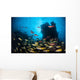 Schooling Fish Swim over Wall Decal