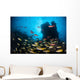 Schooling Fish Swim over Wall Decal