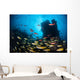 Schooling Fish Swim over Wall Decal