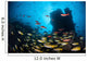 Schooling Fish Swim over Wall Decal