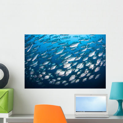 Schooling Fish near Cocos Wall Decal shown on a wall