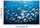 Schooling Fish near Cocos Wall Decal