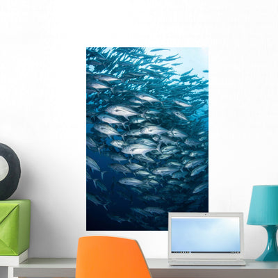 Schooling Bigeye Jacks Swim Wall Decal shown on a wall