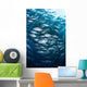 Schooling Bigeye Jacks Swim Wall Decal
