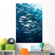 Schooling Bigeye Jacks Swim Wall Decal