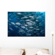Schooling Bigeye Jacks near Wall Decal