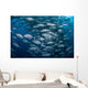 Schooling Bigeye Jacks near Wall Decal