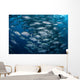 Schooling Bigeye Jacks near Wall Decal