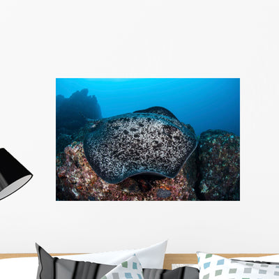 Large Black-blotched Stingray Swims Wall Decal Design 1 shown on a wall