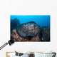 Large Black-blotched Stingray Swims Wall Decal Design 1