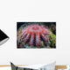 Crown-of-thorns Starfish Feeds Coral Wall Decal
