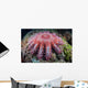 Crown-of-thorns Starfish Feeds Coral Wall Decal