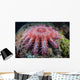 Crown-of-thorns Starfish Feeds Coral Wall Decal