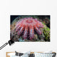 Crown-of-thorns Starfish Feeds Coral Wall Decal