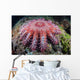 Crown-of-thorns Starfish Feeds Coral Wall Decal