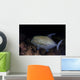 Black Trevally Swims over Wall Decal