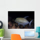 Black Trevally Swims over Wall Decal
