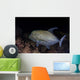 Black Trevally Swims over Wall Decal