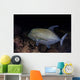 Black Trevally Swims over Wall Decal