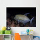 Black Trevally Swims over Wall Decal