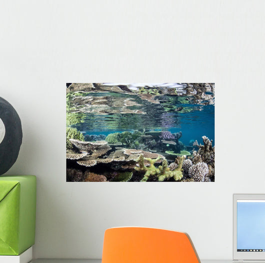 Reef-building Corals Raja Ampat Wall Decal Design 5