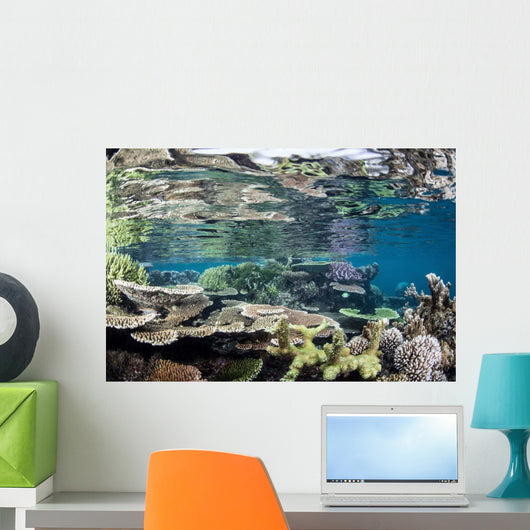 Reef-building Corals Raja Ampat Wall Decal Design 5