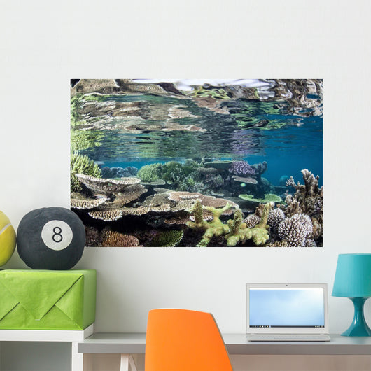 Reef-building Corals Raja Ampat Wall Decal Design 5