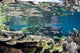 Reef-building Corals Raja Ampat Wall Decal Design 5