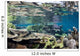 Reef-building Corals Raja Ampat Wall Decal Design 5