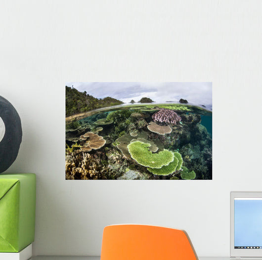 Reef-building Corals Raja Ampat Wall Decal Design 4