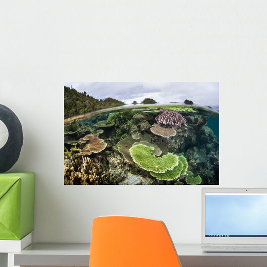 Reef-building Corals Raja Ampat Wall Decal Design 4