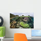 Reef-building Corals Raja Ampat Wall Decal Design 4