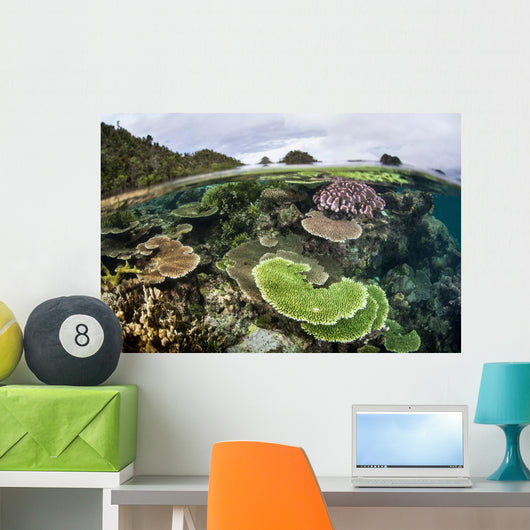 Reef-building Corals Raja Ampat Wall Decal Design 4