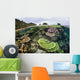 Reef-building Corals Raja Ampat Wall Decal Design 4