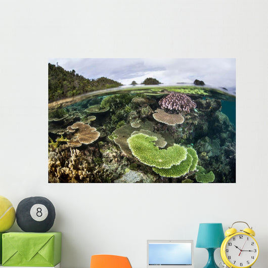 Reef-building Corals Raja Ampat Wall Decal Design 4