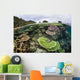 Reef-building Corals Raja Ampat Wall Decal Design 4