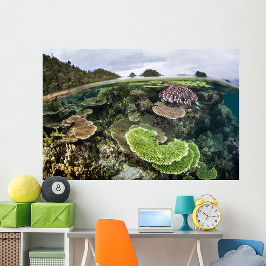 Reef-building Corals Raja Ampat Wall Decal Design 4