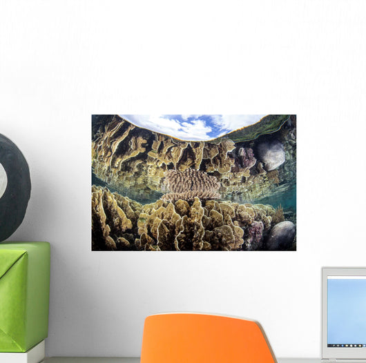 Reef-building Corals Raja Ampat Wall Decal Design 3