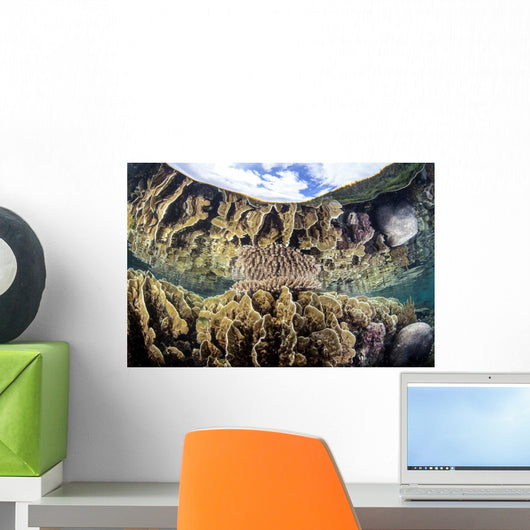 Reef-building Corals Raja Ampat Wall Decal Design 3