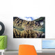 Reef-building Corals Raja Ampat Wall Decal Design 3