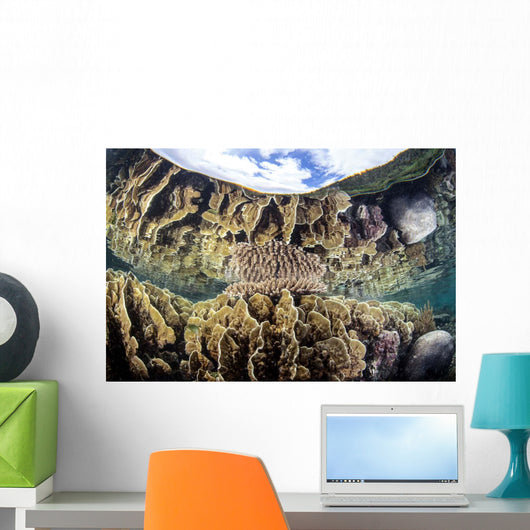 Reef-building Corals Raja Ampat Wall Decal Design 3