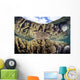 Reef-building Corals Raja Ampat Wall Decal Design 3