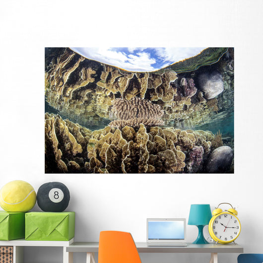 Reef-building Corals Raja Ampat Wall Decal Design 3