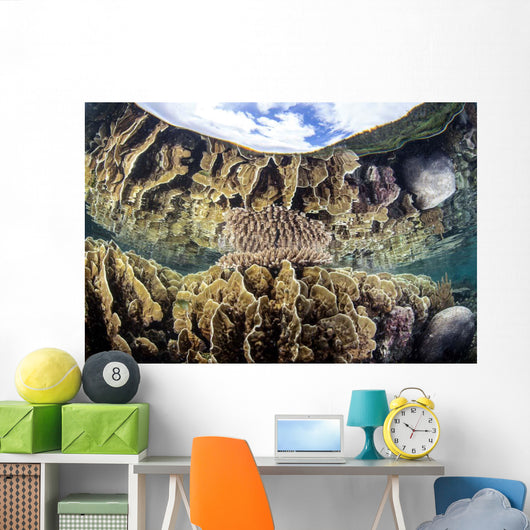 Reef-building Corals Raja Ampat Wall Decal Design 3