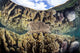 Reef-building Corals Raja Ampat Wall Decal Design 3